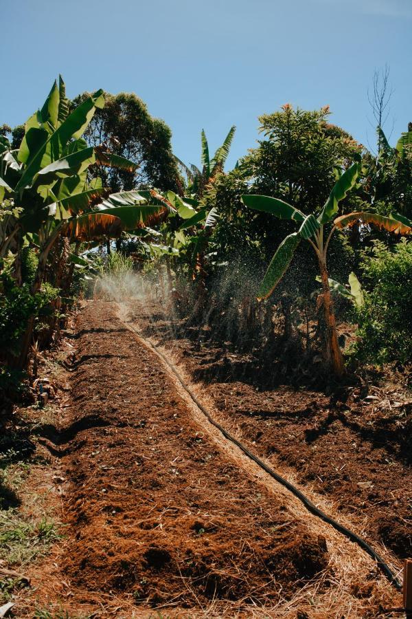 Hotel Vegano Bona Espero Alto Paraíso de Goiás Exterior foto