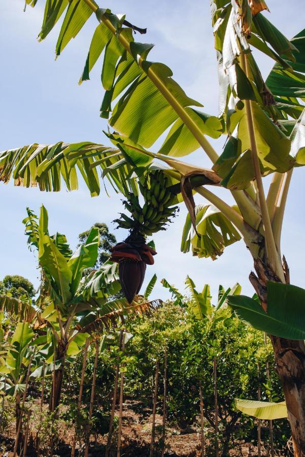 Hotel Vegano Bona Espero Alto Paraíso de Goiás Exterior foto